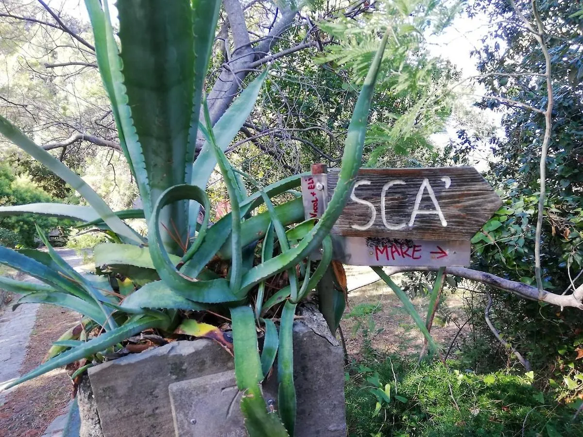 Apartmán La Notte Sull'Isola - Montaretto - Tra Il Cielo E Il Mare Reggimonti