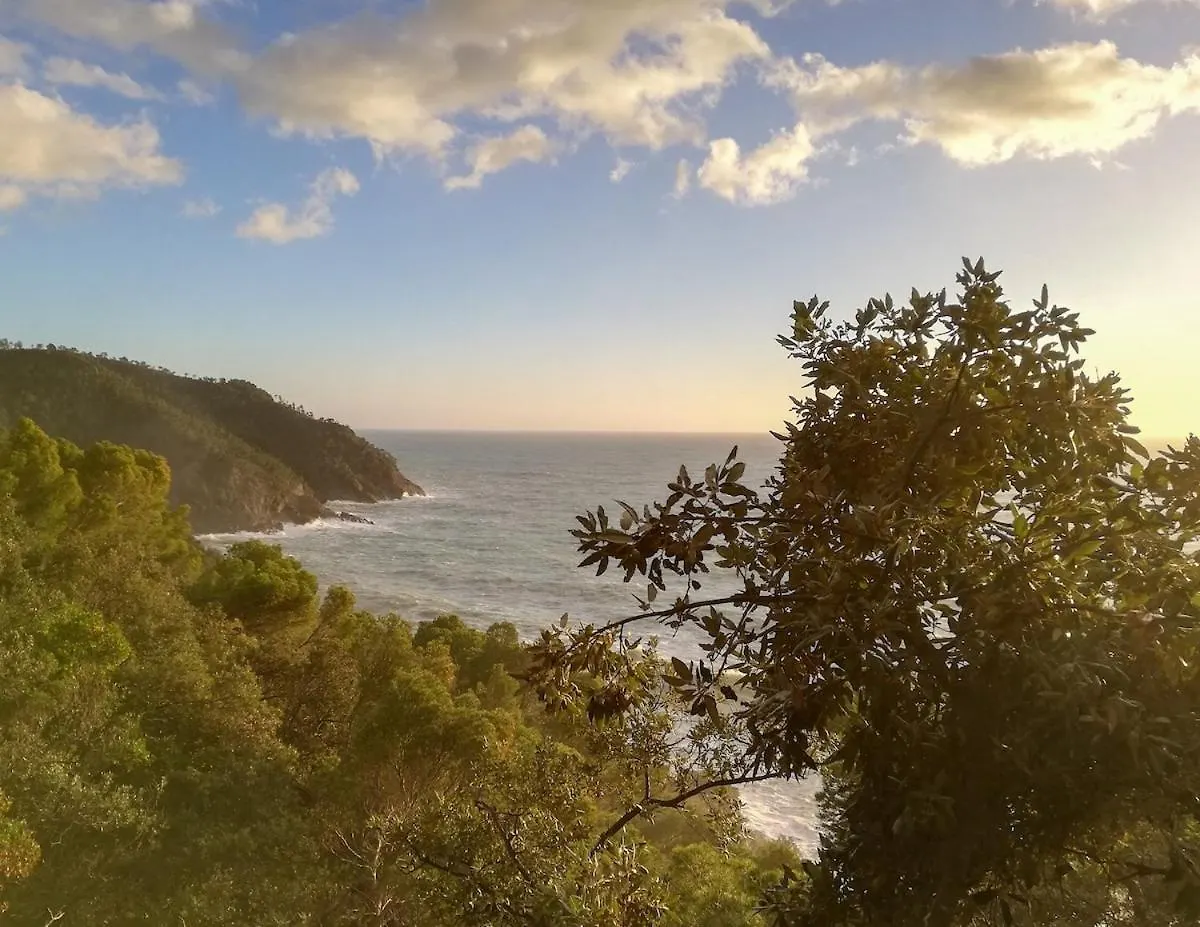 Apartmán La Notte Sull'Isola - Montaretto - Tra Il Cielo E Il Mare Reggimonti Itálie