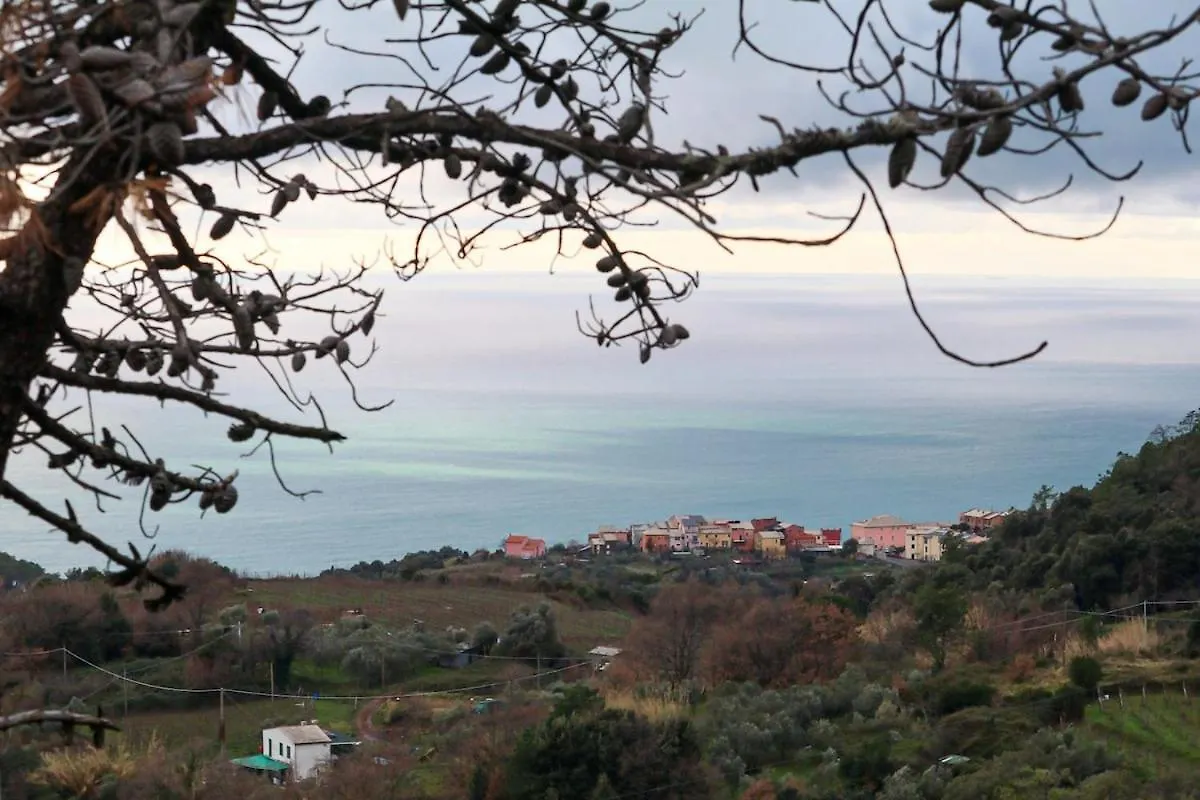 La Notte Sull'Isola - Montaretto - Tra Il Cielo E Il Mare Apartment Reggimonti