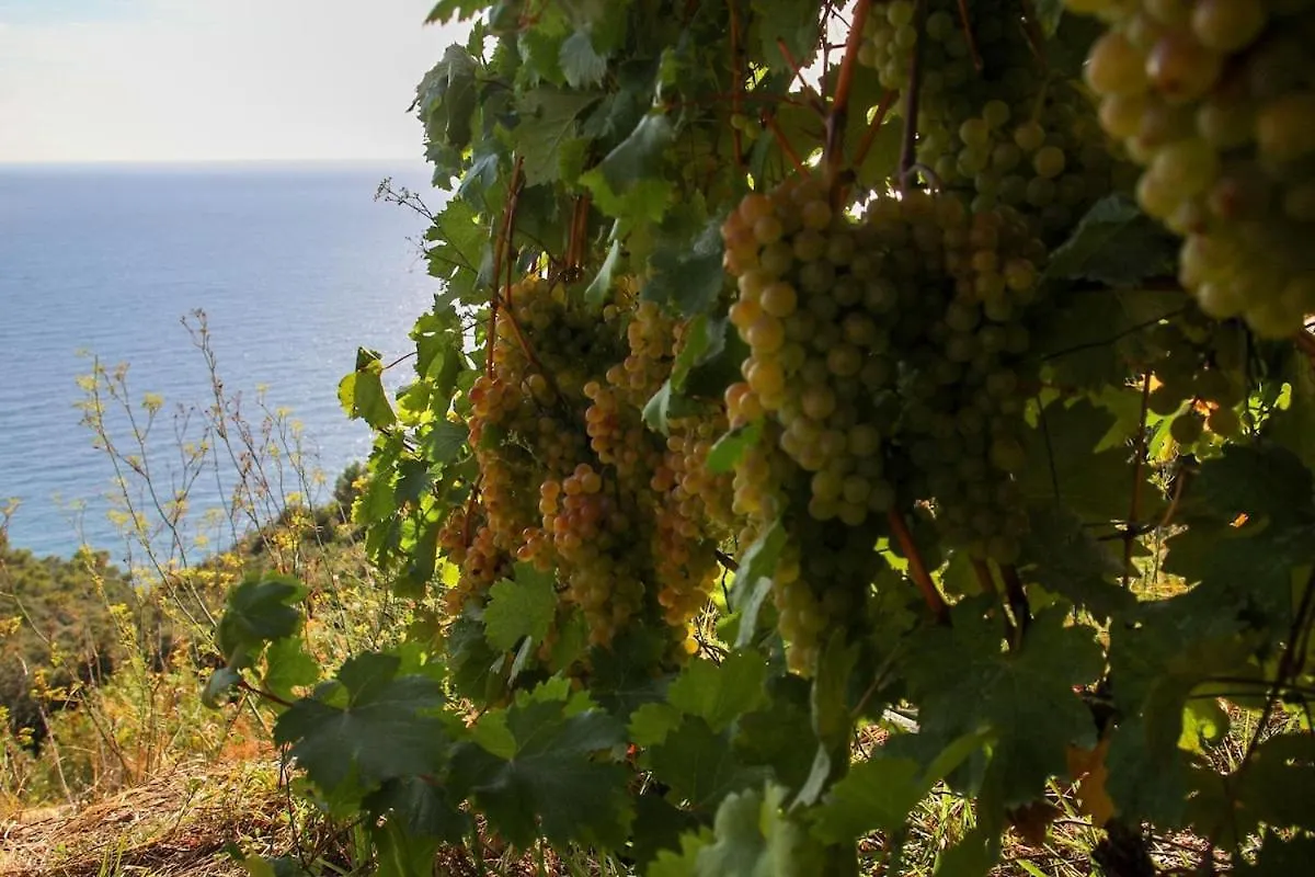 Apartmán La Notte Sull'Isola - Montaretto - Tra Il Cielo E Il Mare Reggimonti 0*,  Itálie