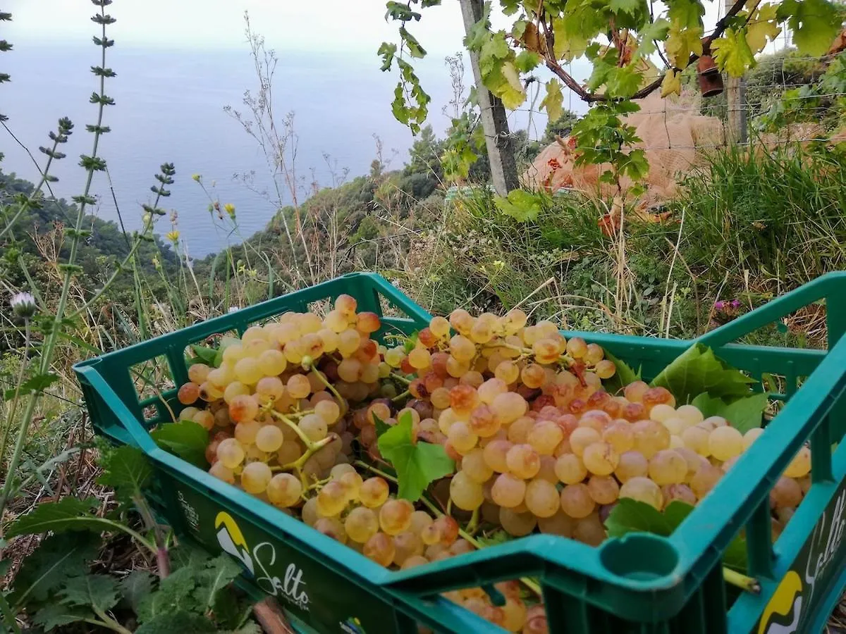 Apartmán La Notte Sull'Isola - Montaretto - Tra Il Cielo E Il Mare Reggimonti Itálie