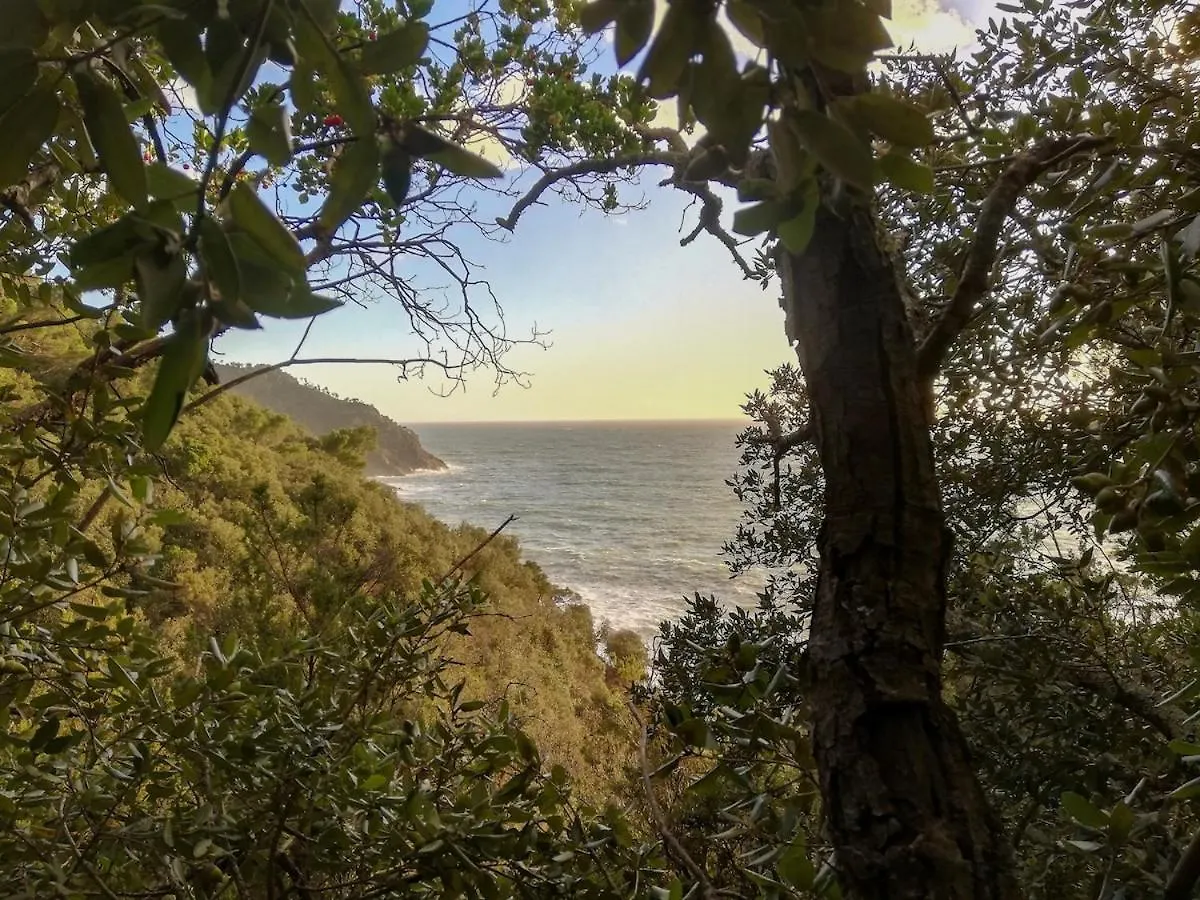 La Notte Sull'Isola - Montaretto - Tra Il Cielo E Il Mare Apartment Reggimonti