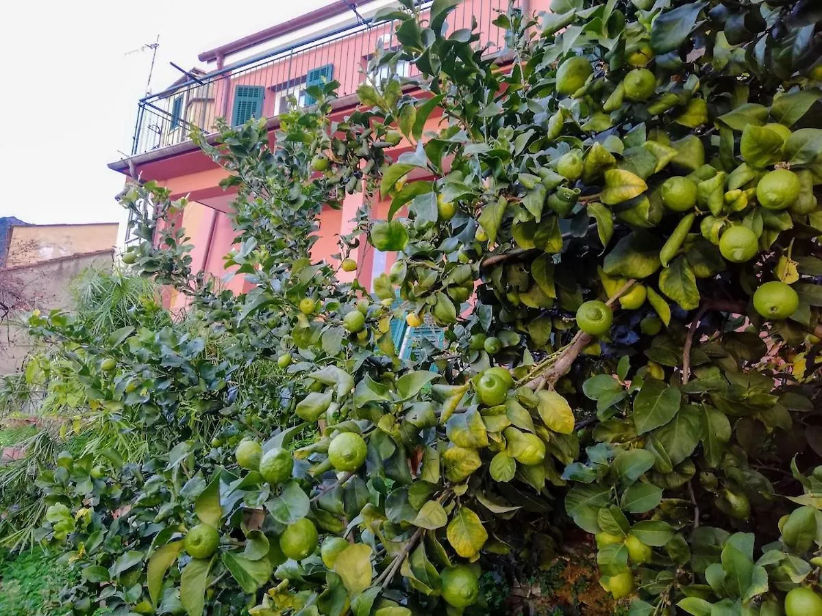 La Notte Sull'Isola - Montaretto - Tra Il Cielo E Il Mare Apartment Reggimonti