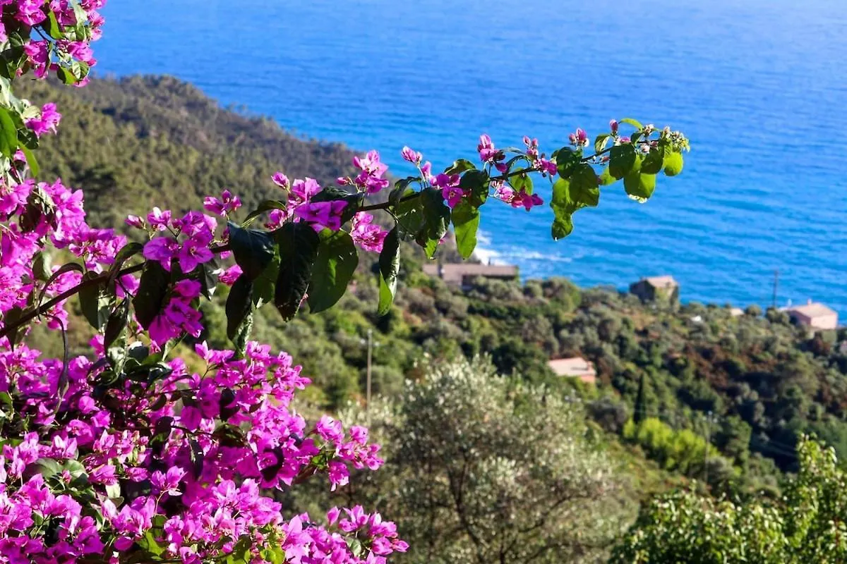 La Notte Sull'Isola - Montaretto - Tra Il Cielo E Il Mare Apartment Reggimonti