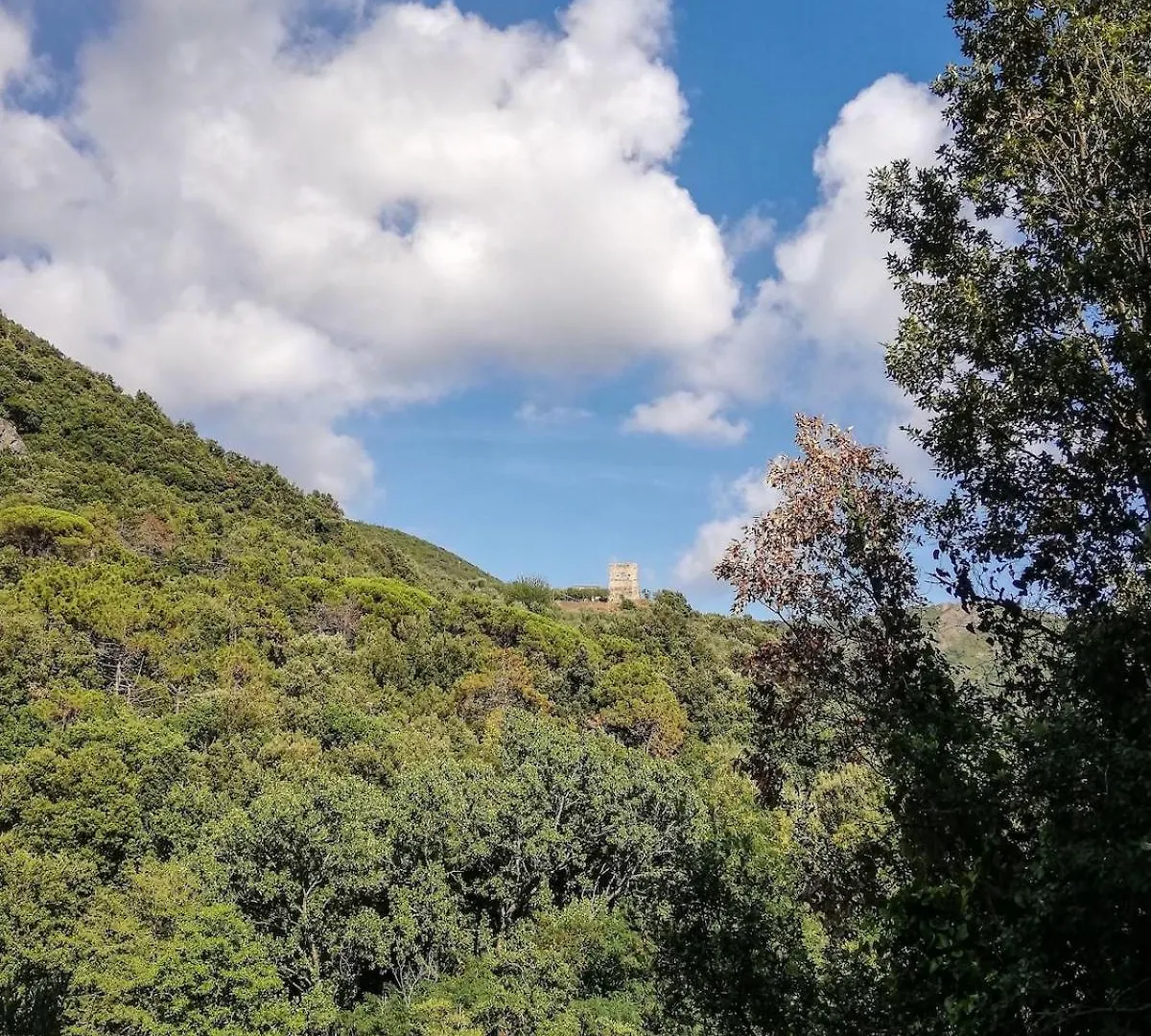 La Notte Sull'Isola - Montaretto - Tra Il Cielo E Il Mare Apartment Reggimonti