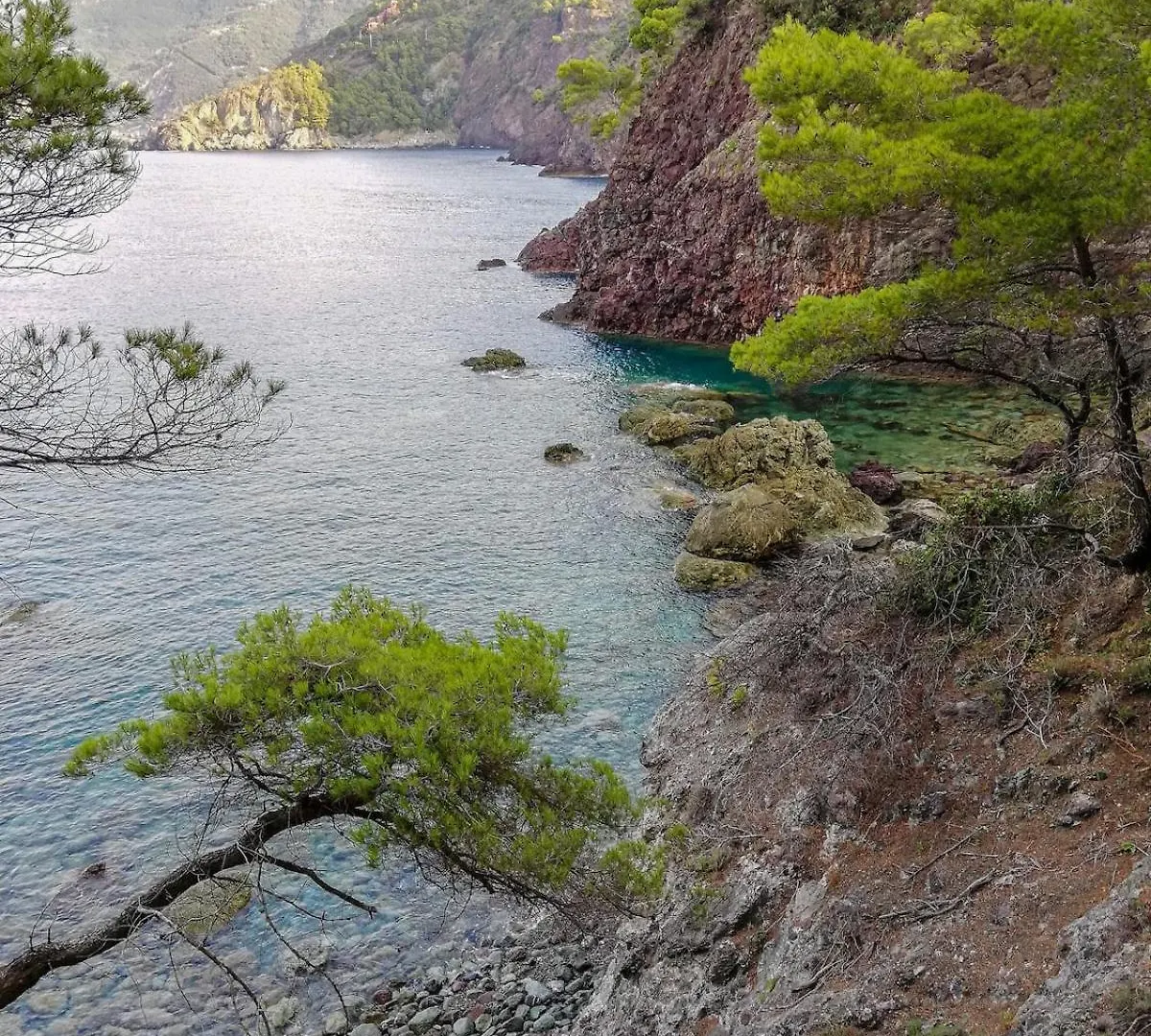 La Notte Sull'Isola - Montaretto - Tra Il Cielo E Il Mare Apartment Reggimonti
