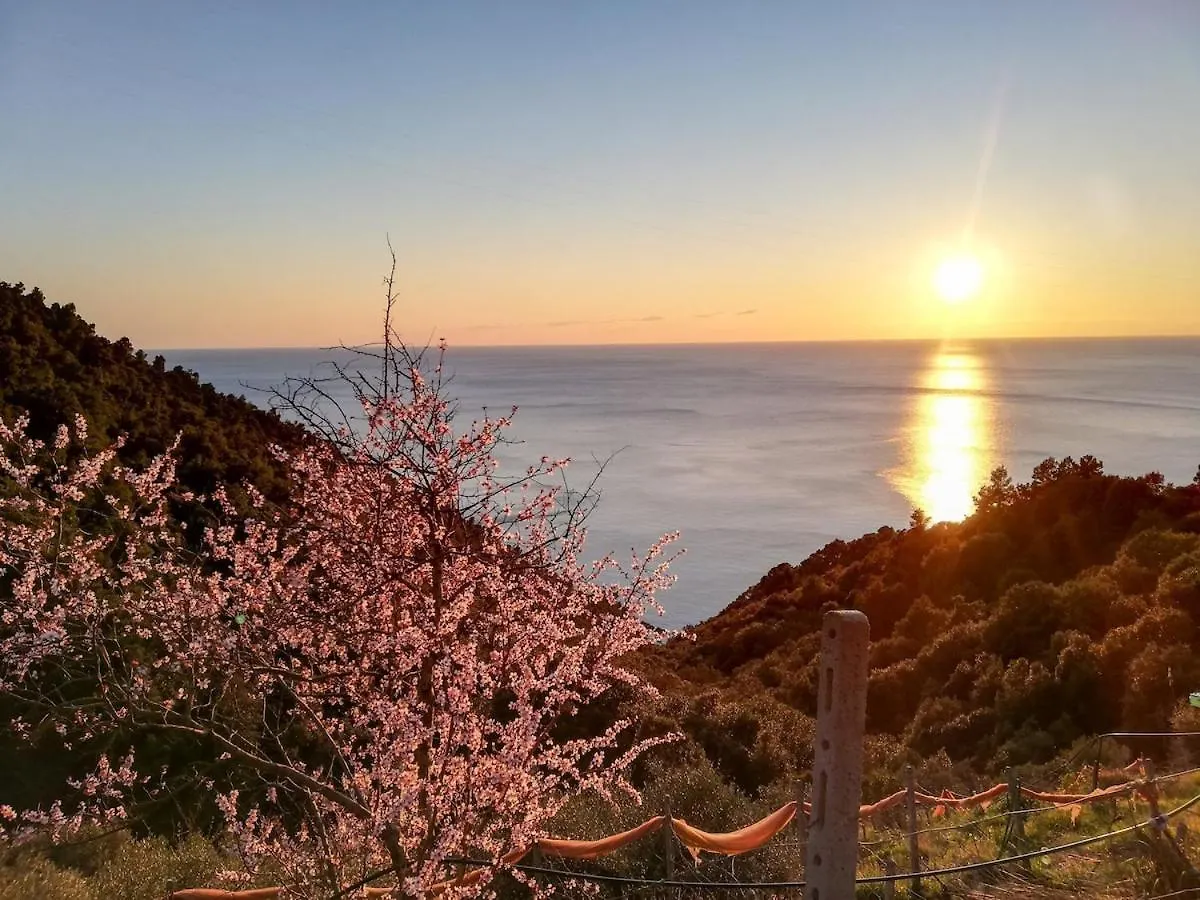 La Notte Sull'Isola - Montaretto - Tra Il Cielo E Il Mare Apartment Reggimonti 0*,