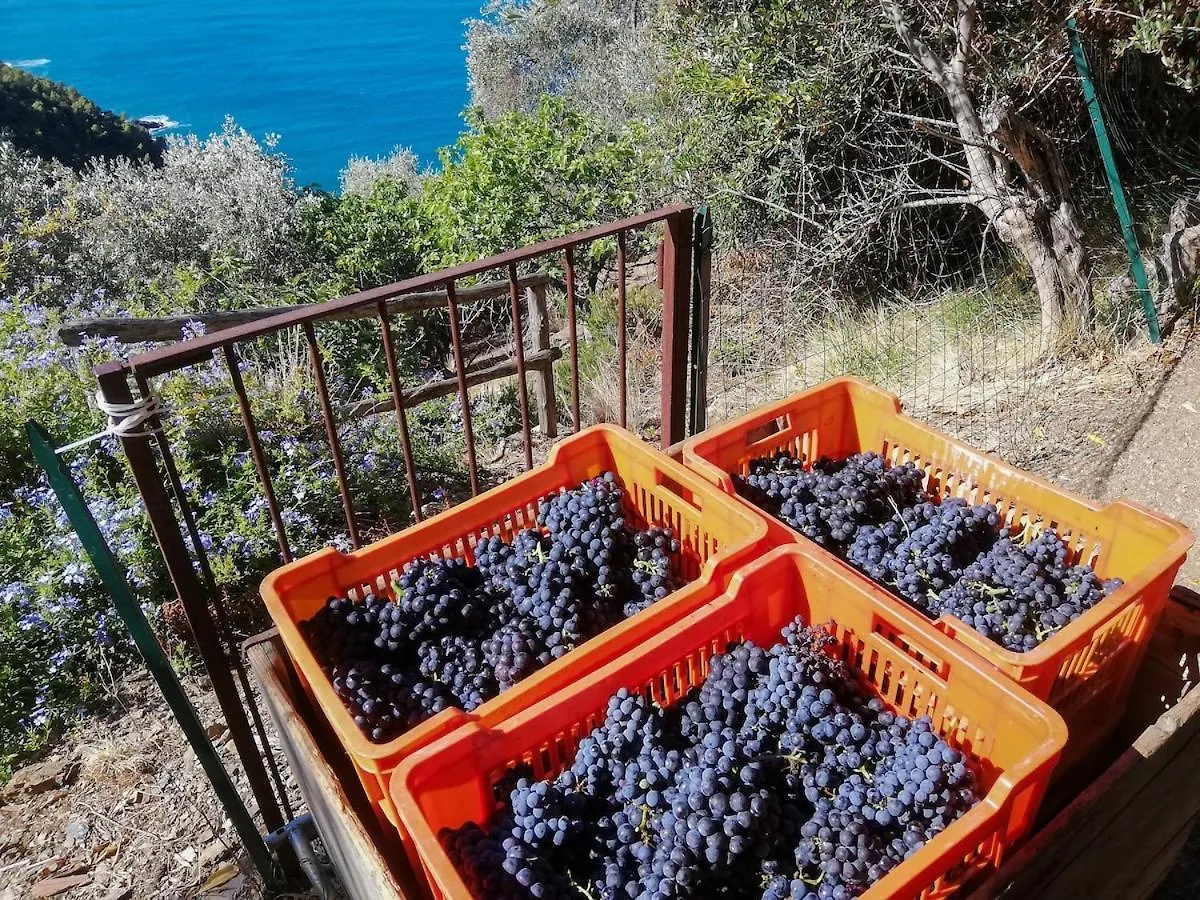 La Notte Sull'Isola - Montaretto - Tra Il Cielo E Il Mare Apartment Reggimonti